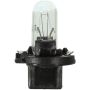 WAGNER LIGHTING PC74 Standard Multi-Purpose Light Bulb Box of 10