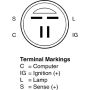 REMY ELECTRICAL 12021 Remanufactured Alternator