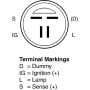 REMY ELECTRICAL 14944 Remanufactured Alternator