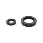 Wiseco B6010 Seal Kit 38x58x11 & 20x37x7mm