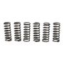 Wiseco CSK019 Clutch Spring Kit DRZ/LTZ400, KLX/KFX400