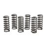 Wiseco CSK027 Clutch Spring Kit Suzuki RM-Z450 05-19