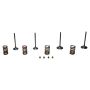 Wiseco SVKB4338 Wiseco Steel Valve Set KX250F '09-10