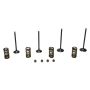 Wiseco SVKB6329 Wiseco Steel Valve Set 250SX-F/EXC-F