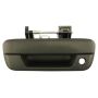 ACI 360222 Tailgate Handle