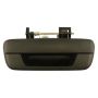ACI 360223 Tailgate Handle