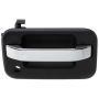 ACI 360359 Exterior Door Handle