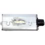 ACI 382680 Power Window Motor