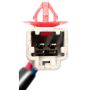 ACI 388582 Power Window Motor and Regulator Assembly
