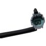 ACI 388617 Power Window Motor and Regulator Assembly