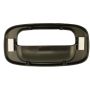 ACI 60201 Tailgate Handle Bezel