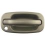 ACI 60203 Exterior Door Handle