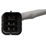 ACI 88501 Power Window Motor and Regulator Assembly