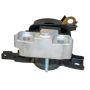 WESTAR MOUNTS EM-5973 Engine Mount