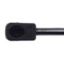 STRONG ARM 4250 Liftgate Lift Support