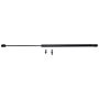 STRONG ARM 4313 Liftgate Lift Support