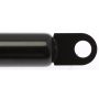 STRONG ARM 4609 Trunk Lid Lift Support