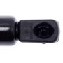 STRONG ARM 6246 Liftgate Lift Support