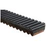 GATES 32C3596 G-Force C12 Continuously Variable Transmission (CVT) Belt