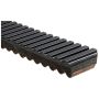 GATES 44C4553 G-Force C12 Continuously Variable Transmission (CVT) Belt