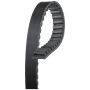 GATES 6079 Sportline Recreational Vehicle Belt