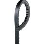 GATES 7448 Automotive XL High Capacity V-Belt