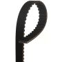 GATES T321 Premium Automotive Timing Belt