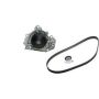 GATES TCKWP247 PowerGrip Premium Timing Component Kit with Water Pump (TCKWP)