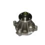 GATES 41119 Light Water Pumps