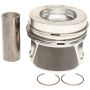 MAHLE 028 PI 00100 000 Engine Piston