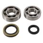 Hot Rods K231 89-94 Suzuki RMX 250 250cc Main Bearing & Seal Kit