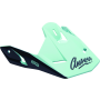 Answer 446043 Visors