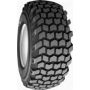BKT 12.5/80-18 F TL TR 461