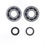 Athena P400510444049 Main Bearing & Seal Kit