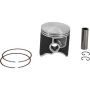 Vertex Pistons 24569A Cast Replica Piston Kit
