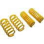 Suspension (65835 ST LOWERING SPRINGS)