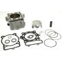 Athena P400220100001 Std Bore Cylinder Kits