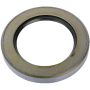 SKF 16891 Seal