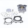 Athena P400510100009 07-09 Suzuki RM-Z 250 Stock Bore Complete Cylinder Kit