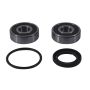 Pivot Works PWRWS-H25-000 1983 Honda CX650T Turbo PW Rear Wheel Bearing Kit