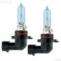 PIAA 19615 PIAA 9005 XTreme White Plus Twin Pack Halogen Bulbs