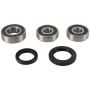Pivot Works PWRWS-K09-000 95-05 Kawasaki VULCAN (VN800A) PW Rear Wheel Bearing Kit