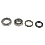 Athena P400210444202 Main Bearing & Seal Kit