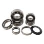 Hot Rods TBK0007 2006 Honda CRF 250 R 250cc Transmission Bearing Kit