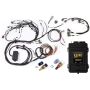 Haltech HT-151309 Elite 2500 Terminated Engine Harness ECU Kit w/Late Ignition