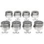 MAHLE 224-2190.040 Engine Piston Set