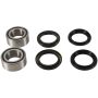 Pivot Works PWRWK-H21-600 Wheel Bearing Kit
