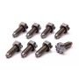 Ford Racing M-6379-B 4.6L Manual Flywheel Bolts