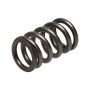 Manley Performance 22190-16 Manley Dodge SRT-4 16pc Valve Springs