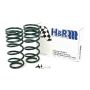 H&R 90-95 Toyota 4 Runner (2WD/4WD) Adventure Raising Spring (Adjustable)